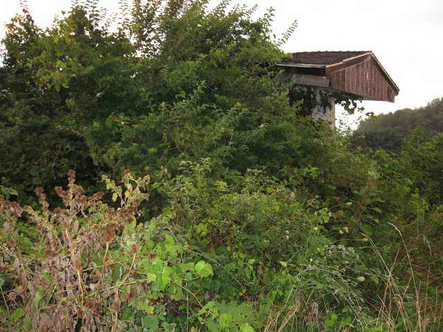 Galion 3 Drive-In - 2010 Photo